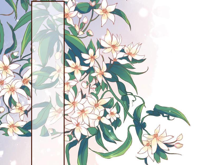 《女票芳龄30十》无中编书 第55页
