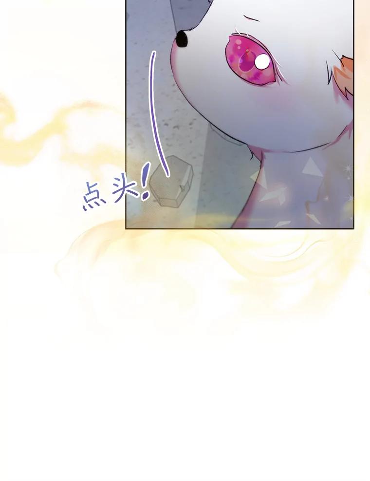 重生为神兽宝宝 - 42.意外的相遇 - 第70张图