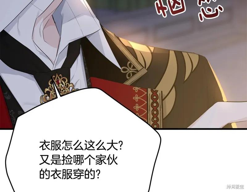 《明明是冷美人小姐却变成了忠犬大少爷》第72话 第179页