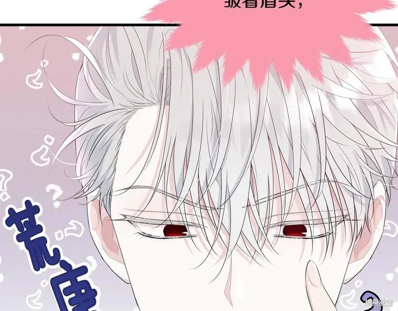 《明明是冷美人小姐却变成了忠犬大少爷》第72话 第184页