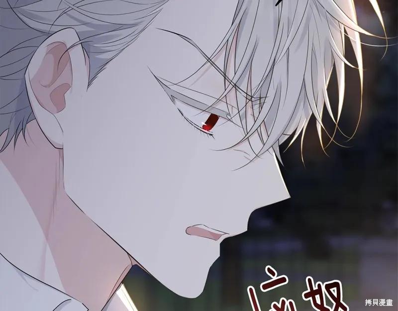 《明明是冷美人小姐却变成了忠犬大少爷》第72话 第178页