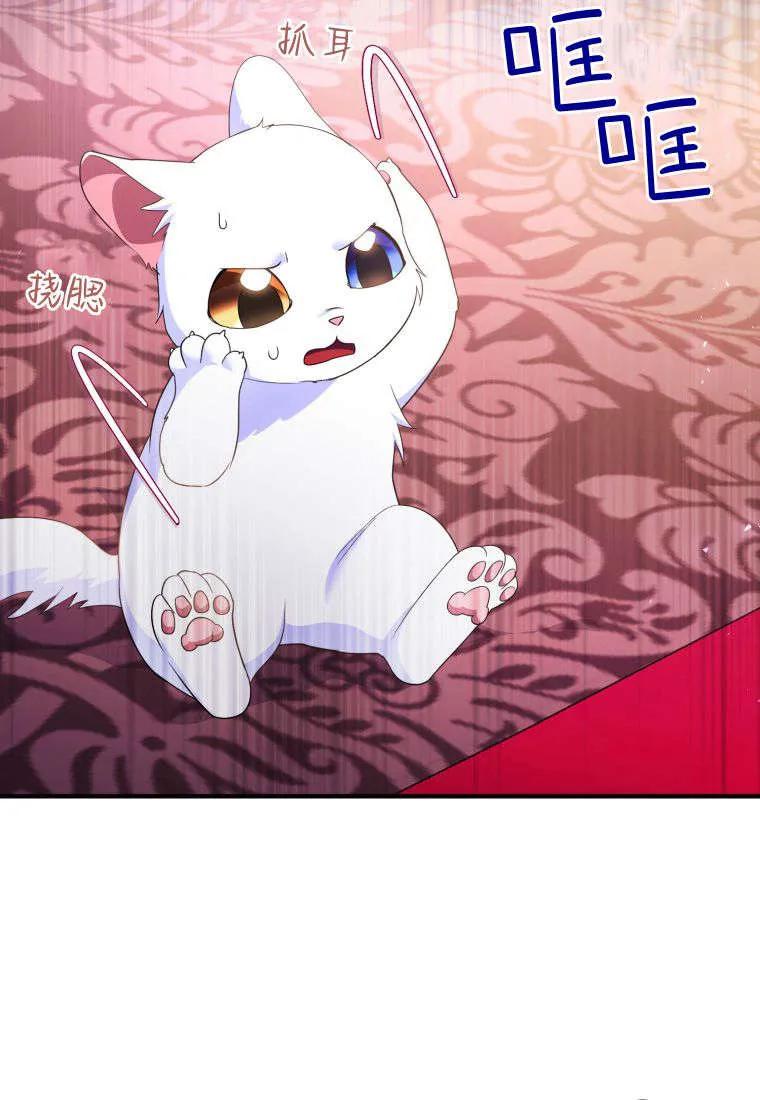成为苏尔坦珍爱的猫咪 第55话 第26页