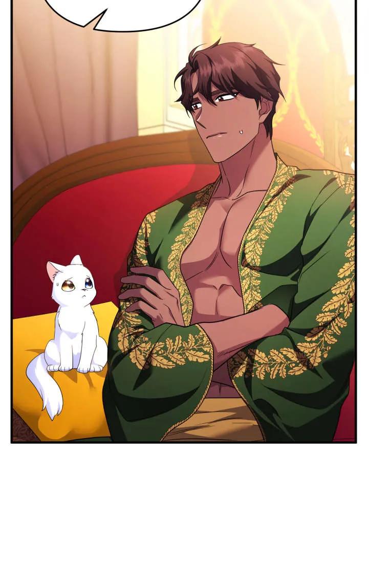 成为苏尔坦珍爱的猫咪 第55话 第41页