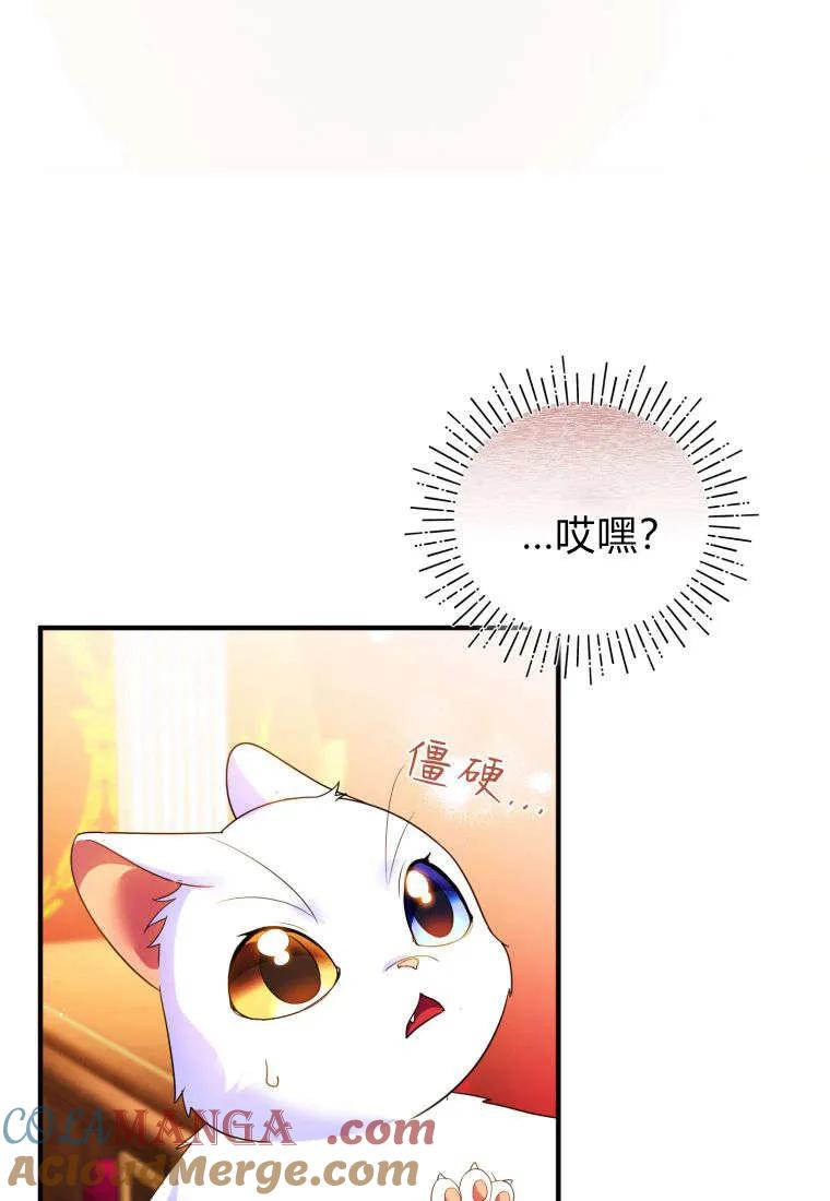 成为苏尔坦珍爱的猫咪 第55话 第34页