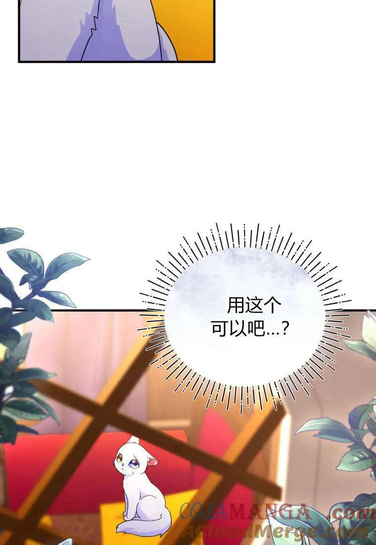 成为苏尔坦珍爱的猫咪 第55话 第46页