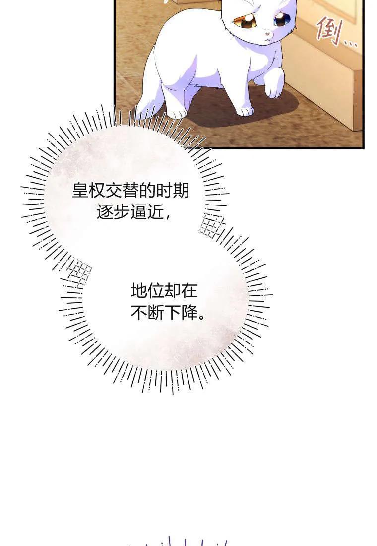 成为苏尔坦珍爱的猫咪 第55话 第74页