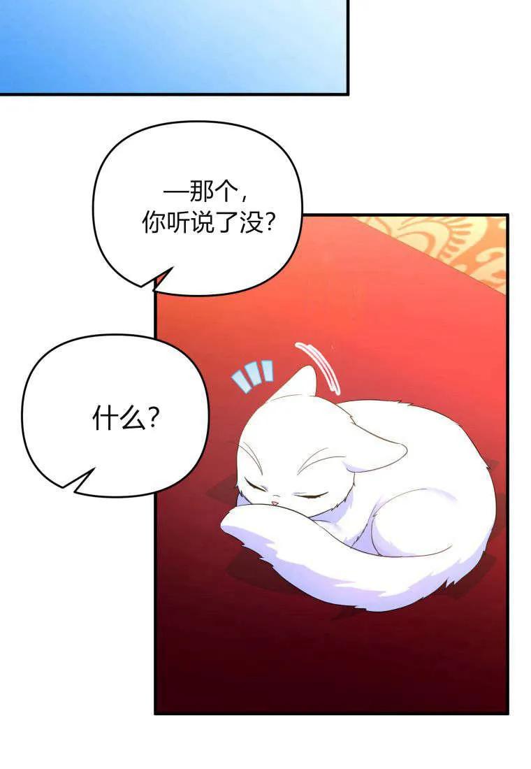 成为苏尔坦珍爱的猫咪 第55话 第59页