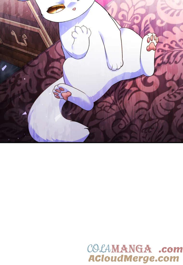 成为苏尔坦珍爱的猫咪 第55话 第37页