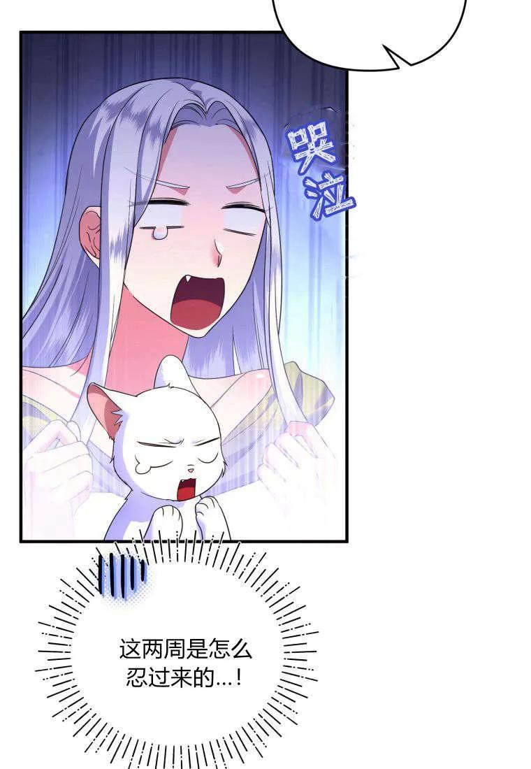 成为苏尔坦珍爱的猫咪 第55话 第30页