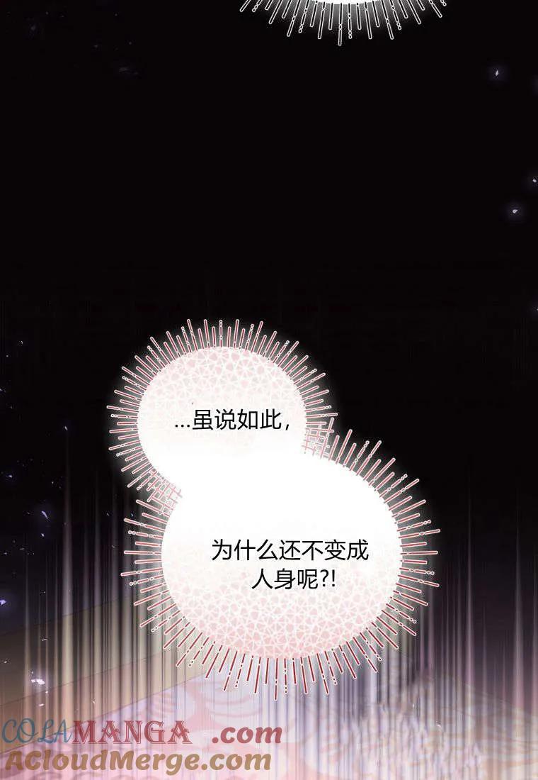 成为苏尔坦珍爱的猫咪 第55话 第25页