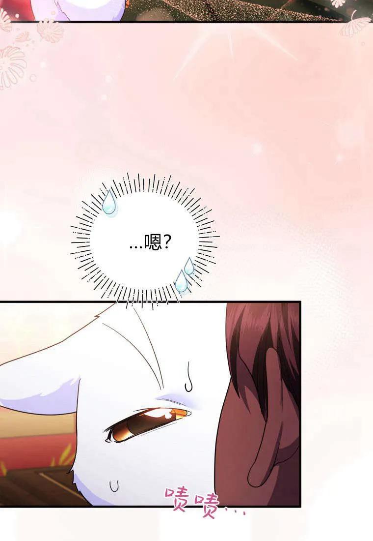 成为苏尔坦珍爱的猫咪 第55话 第33页