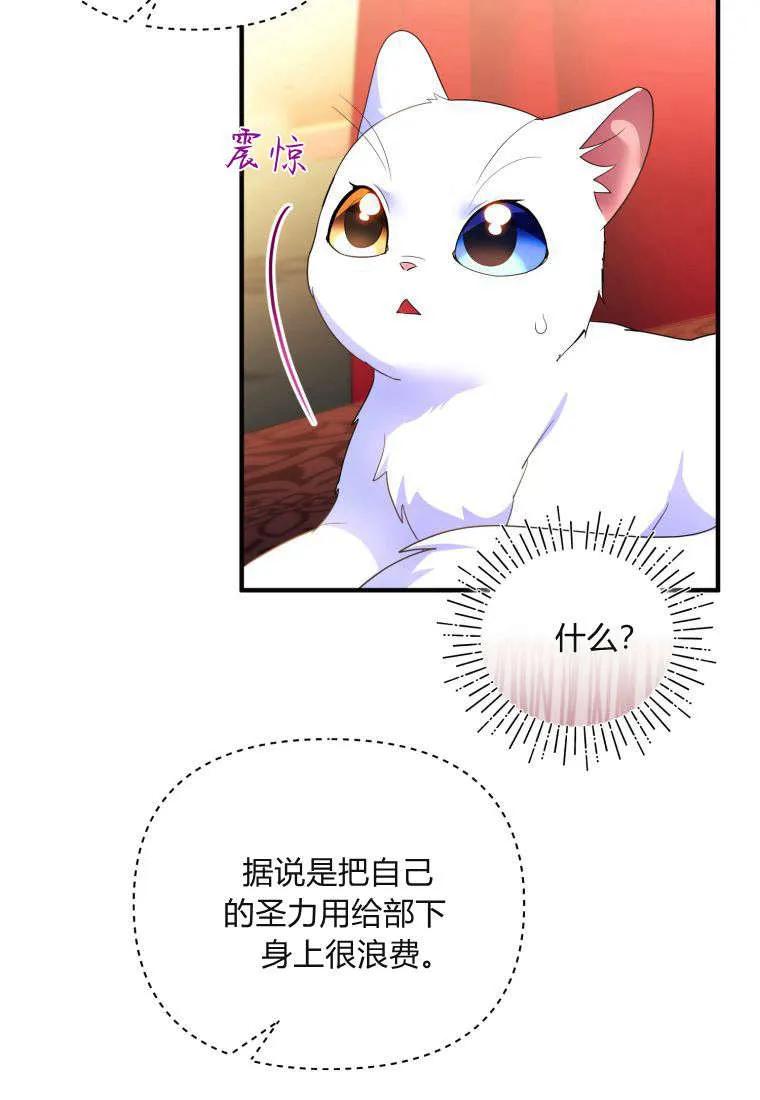 成为苏尔坦珍爱的猫咪 第55话 第63页