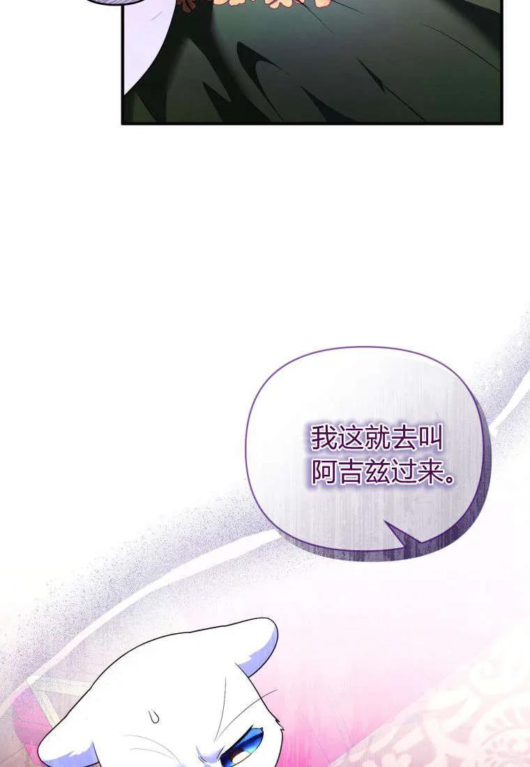 成为苏尔坦珍爱的猫咪 第55话 第36页