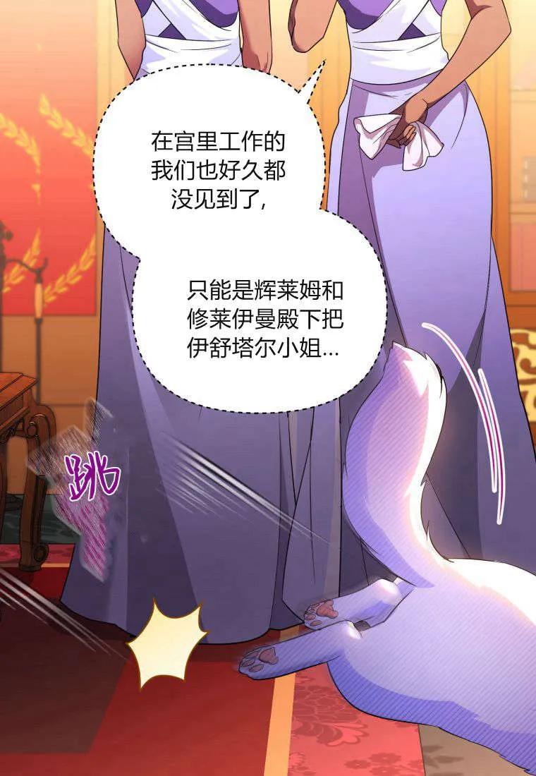成为苏尔坦珍爱的猫咪 第55话 第65页