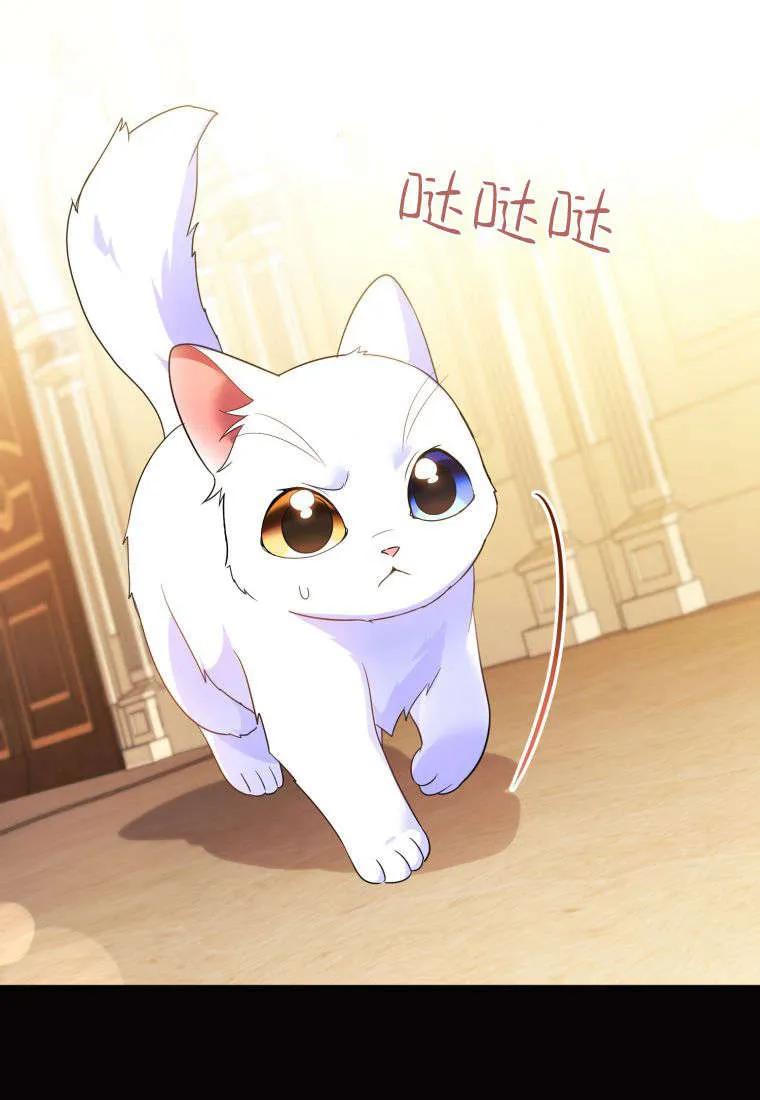 成为苏尔坦珍爱的猫咪 第55话 第68页