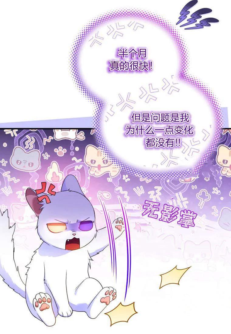 成为苏尔坦珍爱的猫咪 第55话 第27页