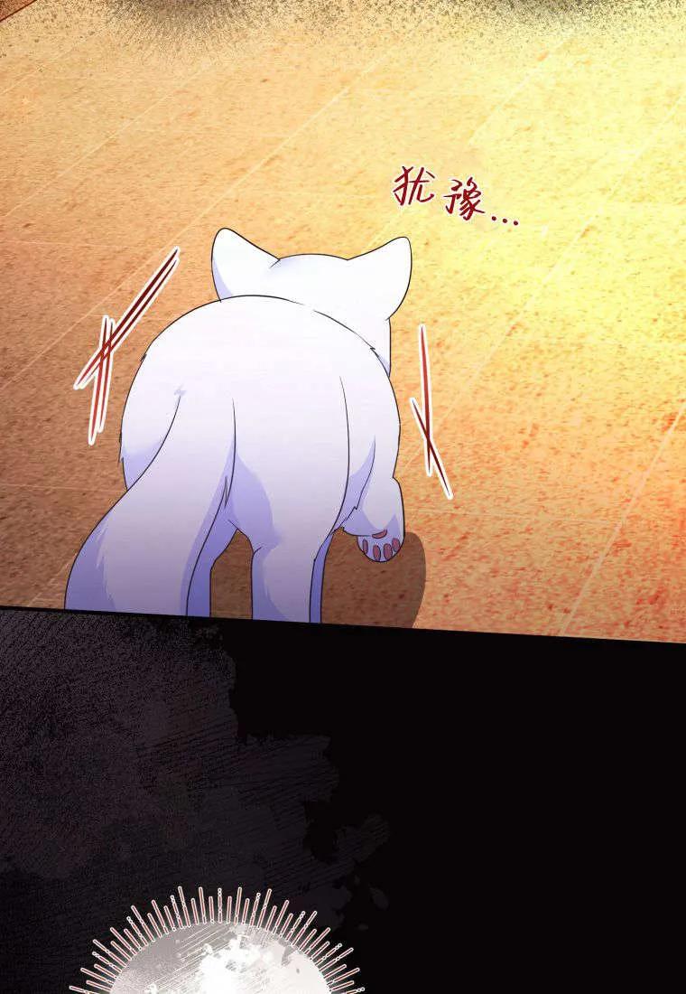 成为苏尔坦珍爱的猫咪 第55话 第71页