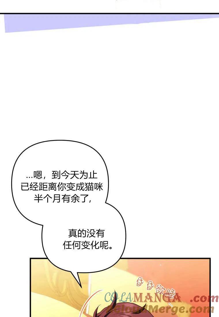 成为苏尔坦珍爱的猫咪 第55话 第28页
