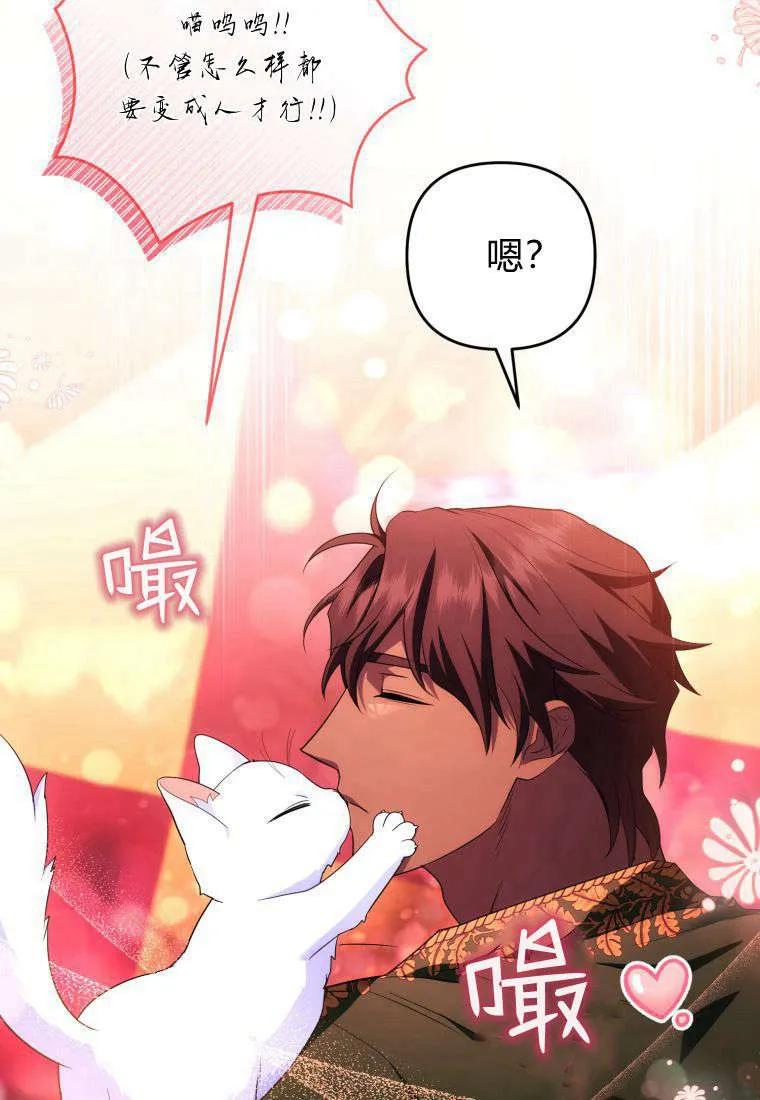 成为苏尔坦珍爱的猫咪 第55话 第32页