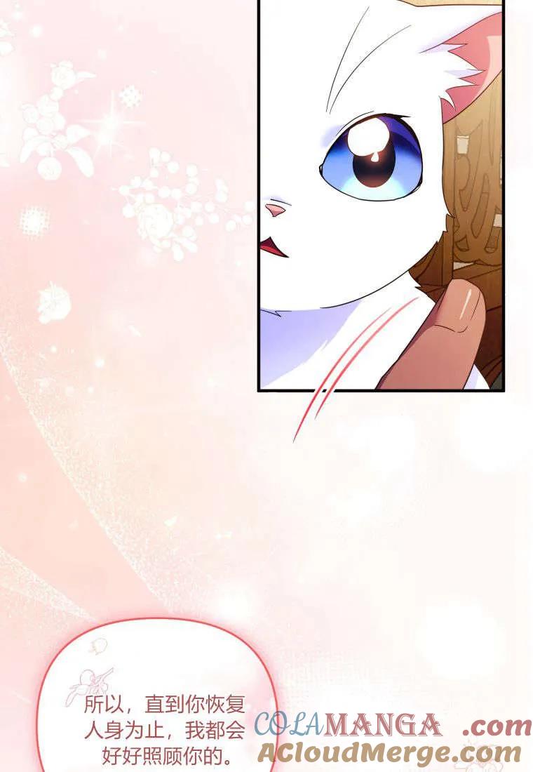 成为苏尔坦珍爱的猫咪 第55话 第22页