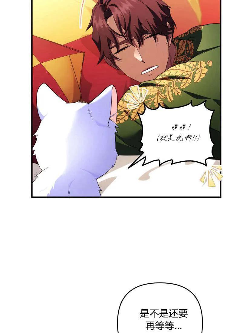 成为苏尔坦珍爱的猫咪 第55话 第29页
