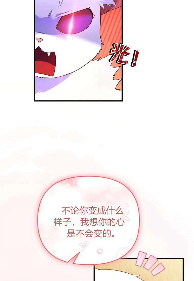 成为苏尔坦珍爱的猫咪 第55话 第21页