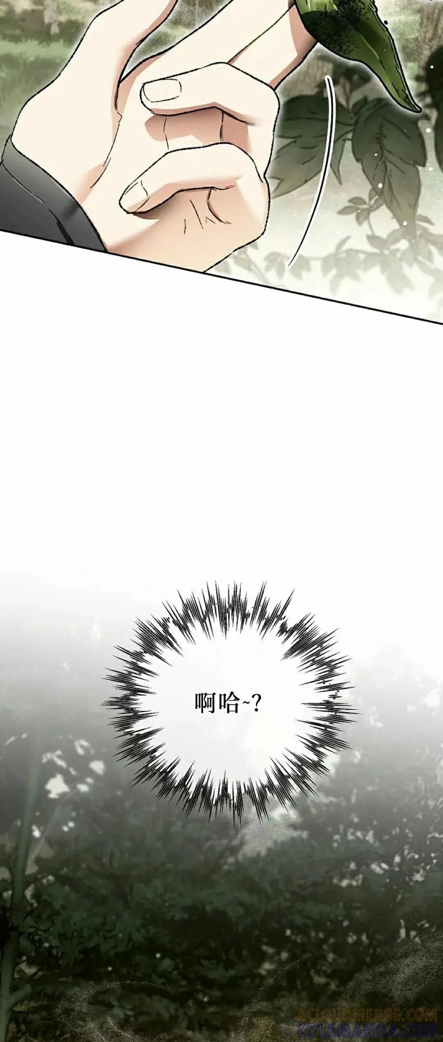 《重生为暗黑世家的天才恶少》第38集 第37页