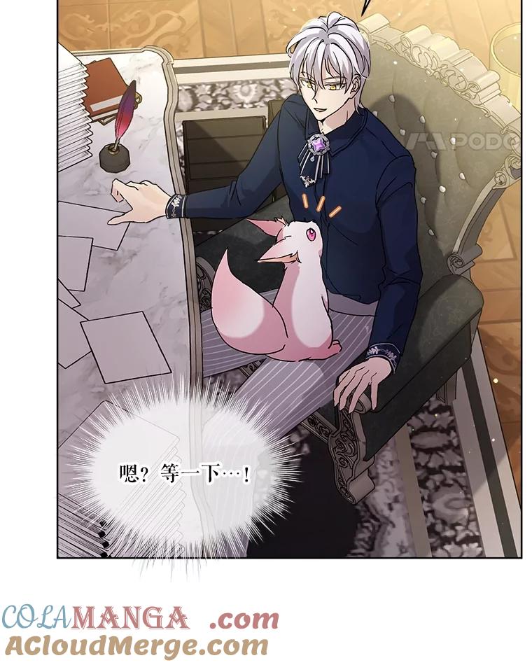 重生为神兽宝宝 - 7.边缘性存在 - 第40张图