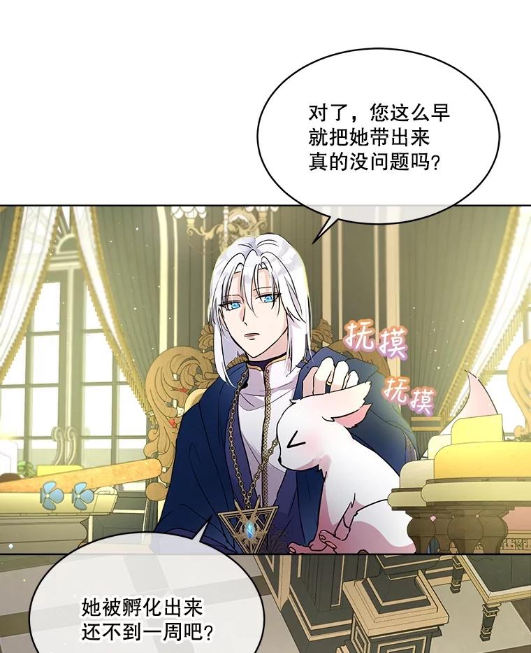 重生为神兽宝宝 - 7.边缘性存在 - 第9张图