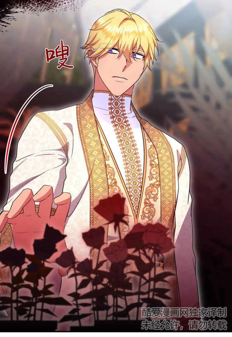 成为苏尔坦珍爱的猫咪 第29话 第75页