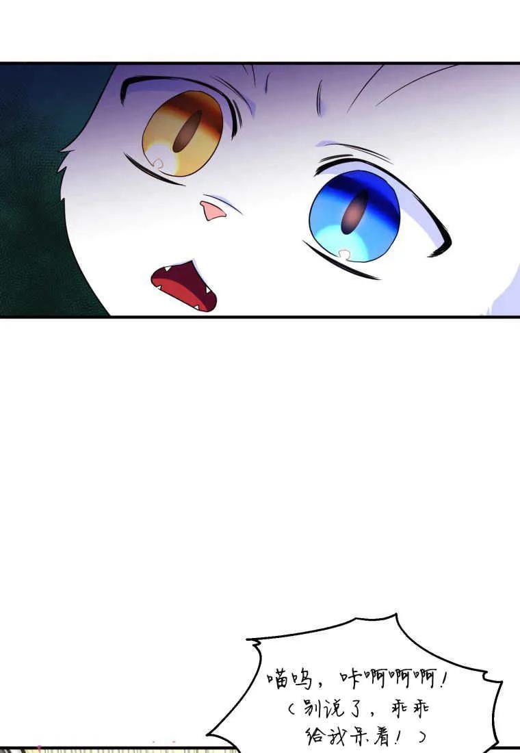 成为苏尔坦珍爱的猫咪 第30话 第55页