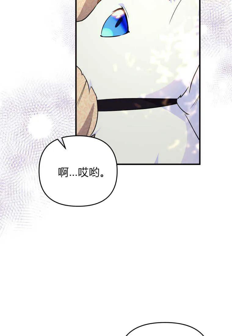 成为苏尔坦珍爱的猫咪 第30话 第50页