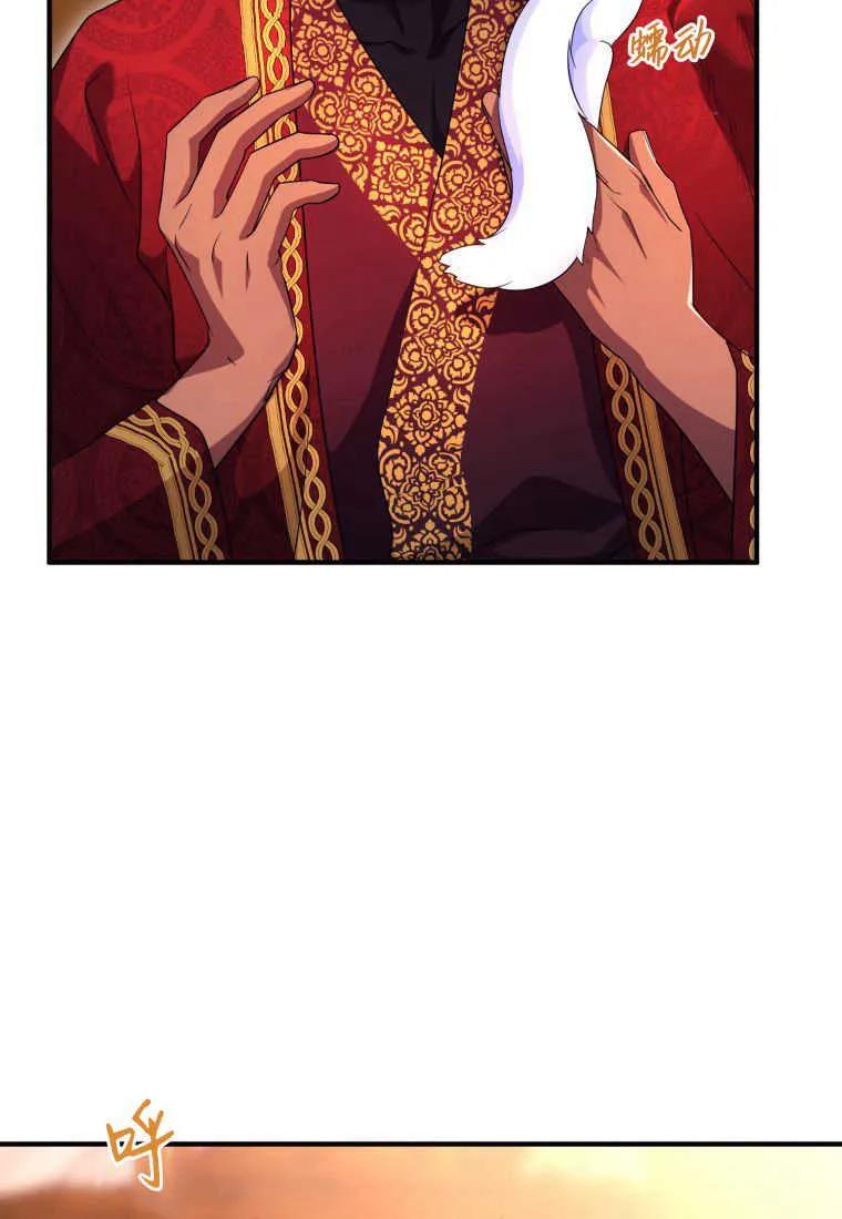 成为苏尔坦珍爱的猫咪 第30话 第17页