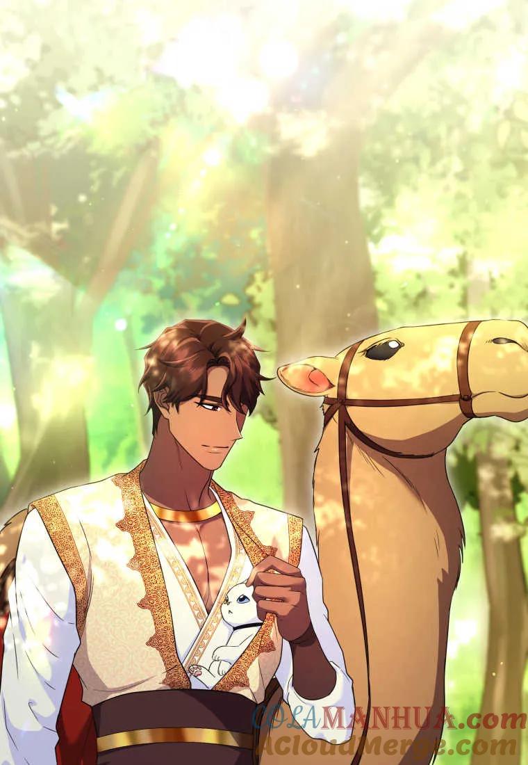 成为苏尔坦珍爱的猫咪 第30话 第36页