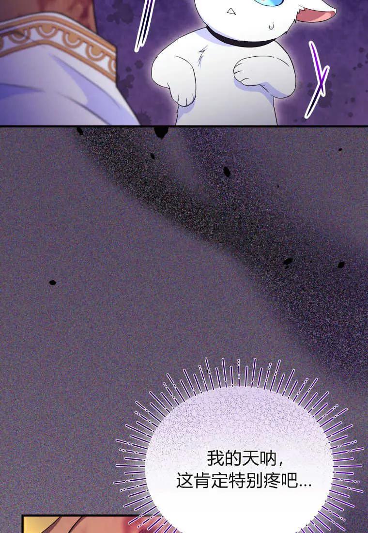 成为苏尔坦珍爱的猫咪 第30话 第59页