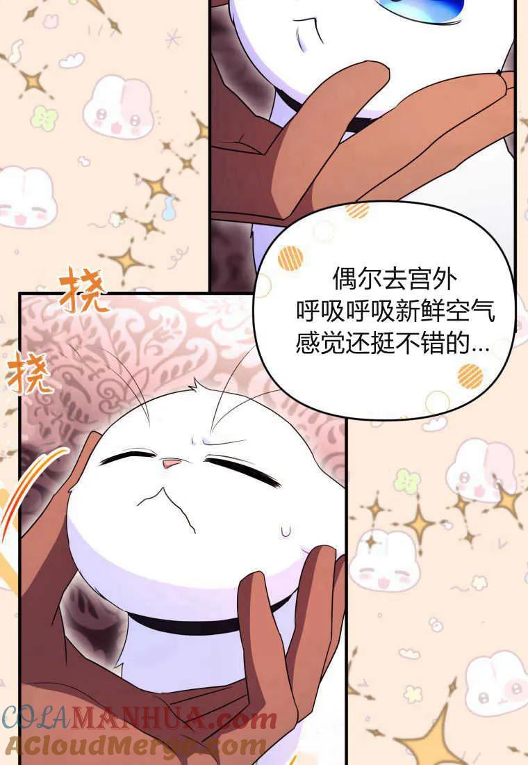 成为苏尔坦珍爱的猫咪 第30话 第28页