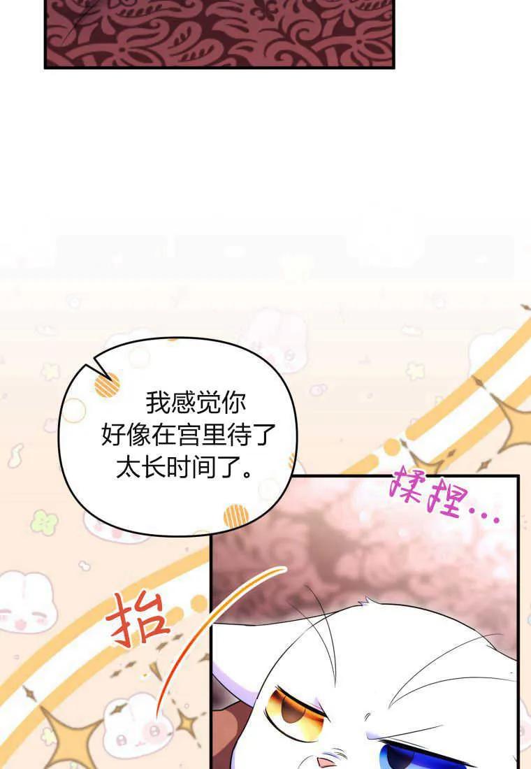 成为苏尔坦珍爱的猫咪 第30话 第27页
