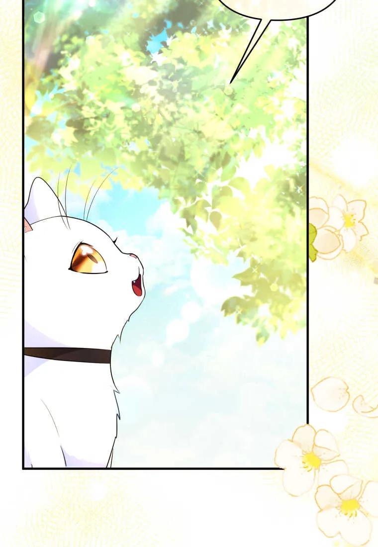成为苏尔坦珍爱的猫咪 第30话 第47页