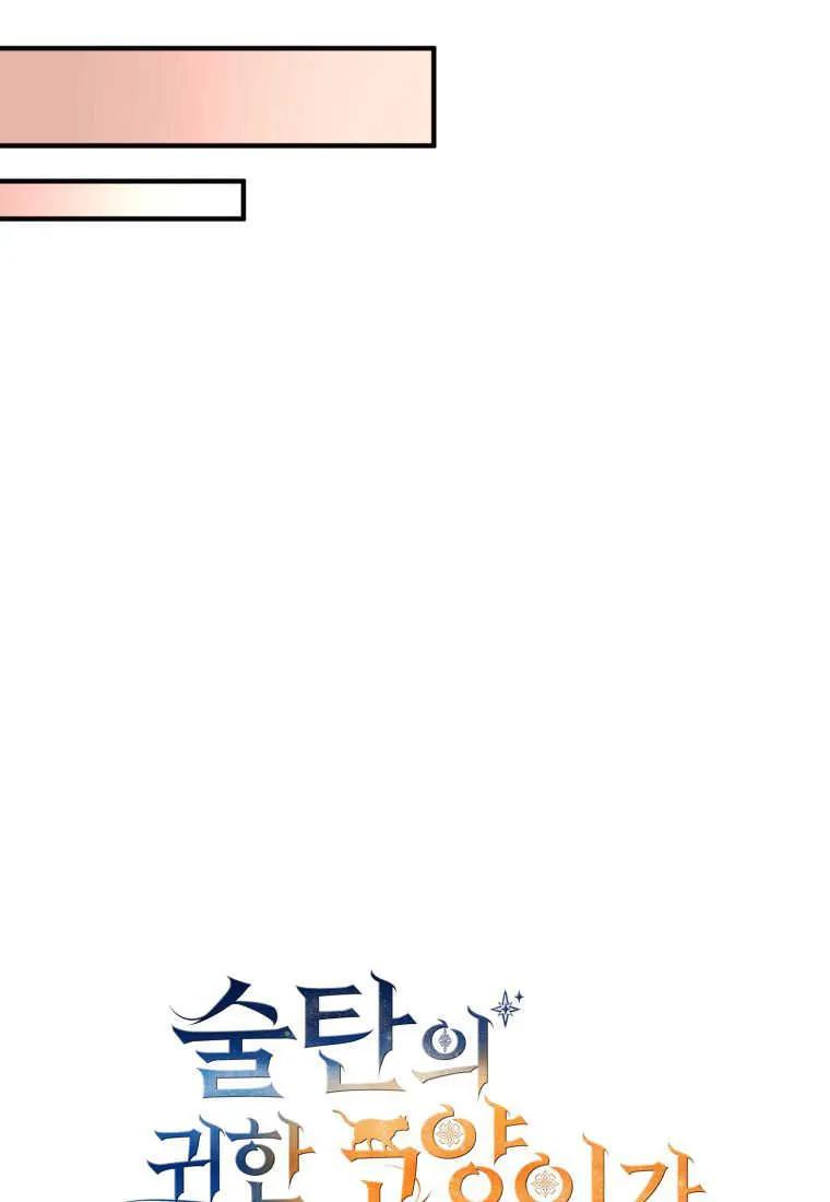 成为苏尔坦珍爱的猫咪 第30话 第34页