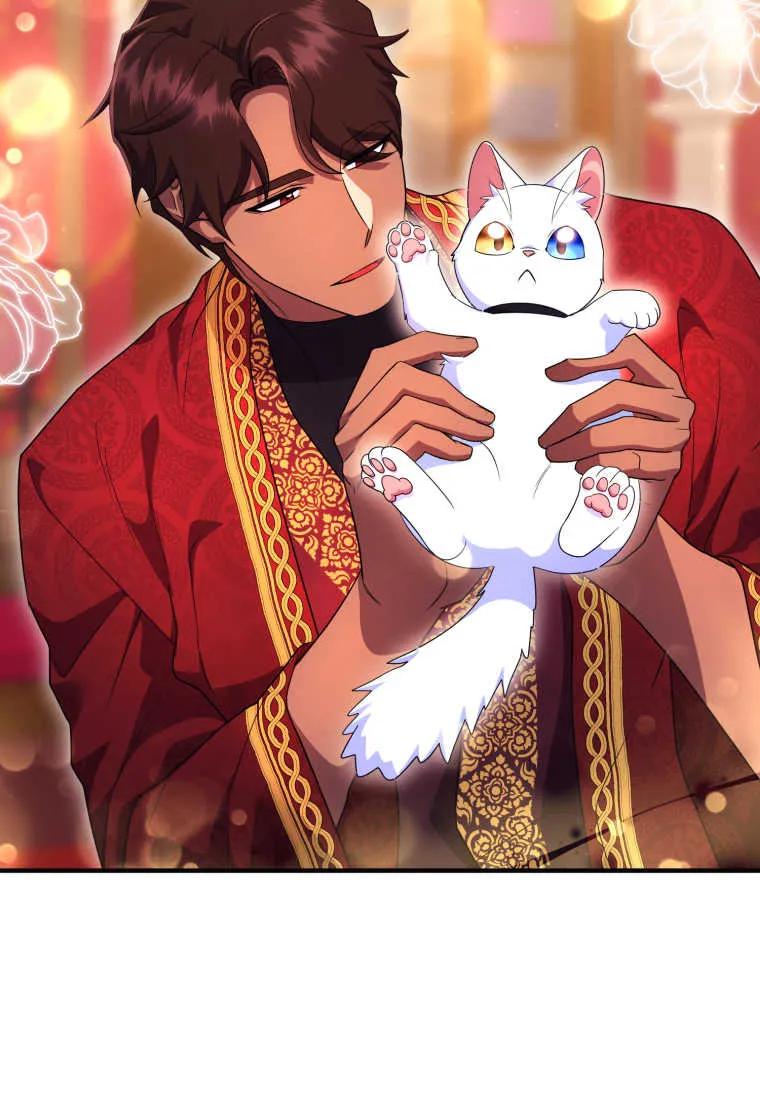 成为苏尔坦珍爱的猫咪 第30话 第14页