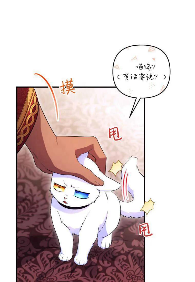 成为苏尔坦珍爱的猫咪 第30话 第26页
