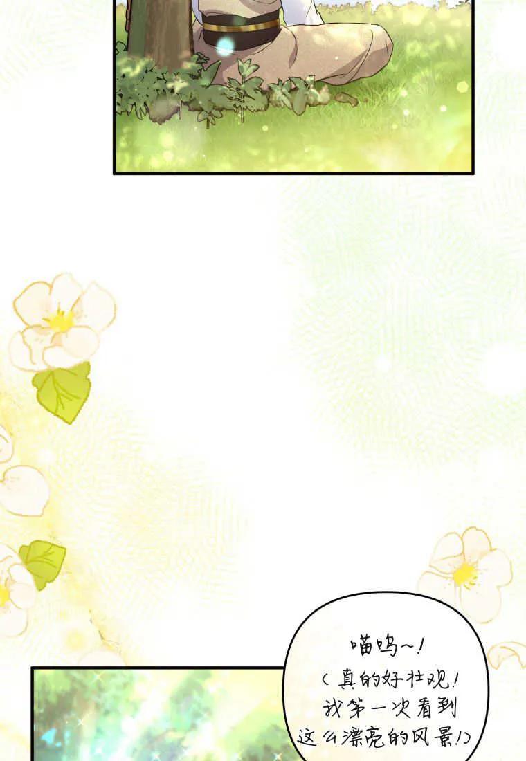 成为苏尔坦珍爱的猫咪 第30话 第46页
