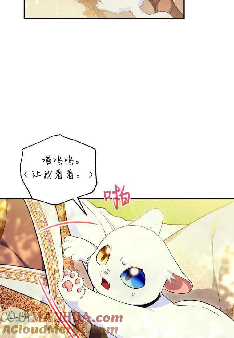 成为苏尔坦珍爱的猫咪 第30话 第52页