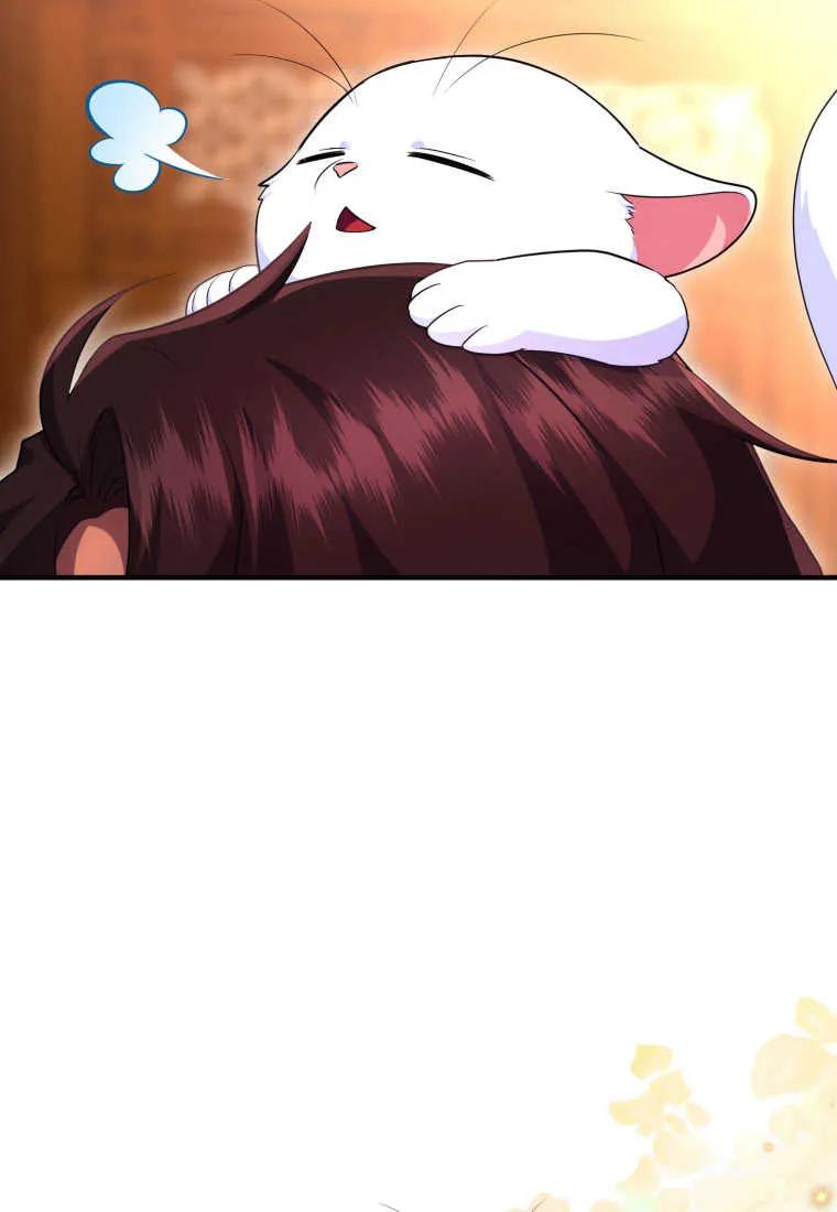 成为苏尔坦珍爱的猫咪 第30话 第18页