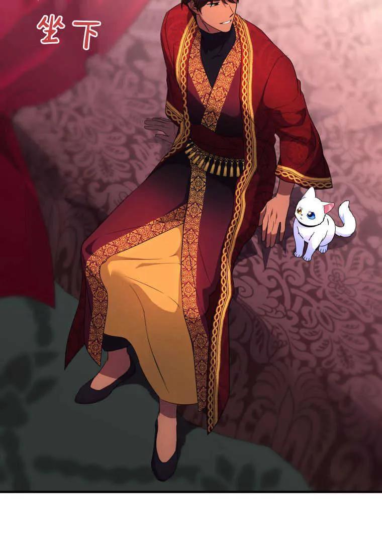 成为苏尔坦珍爱的猫咪 第30话 第25页