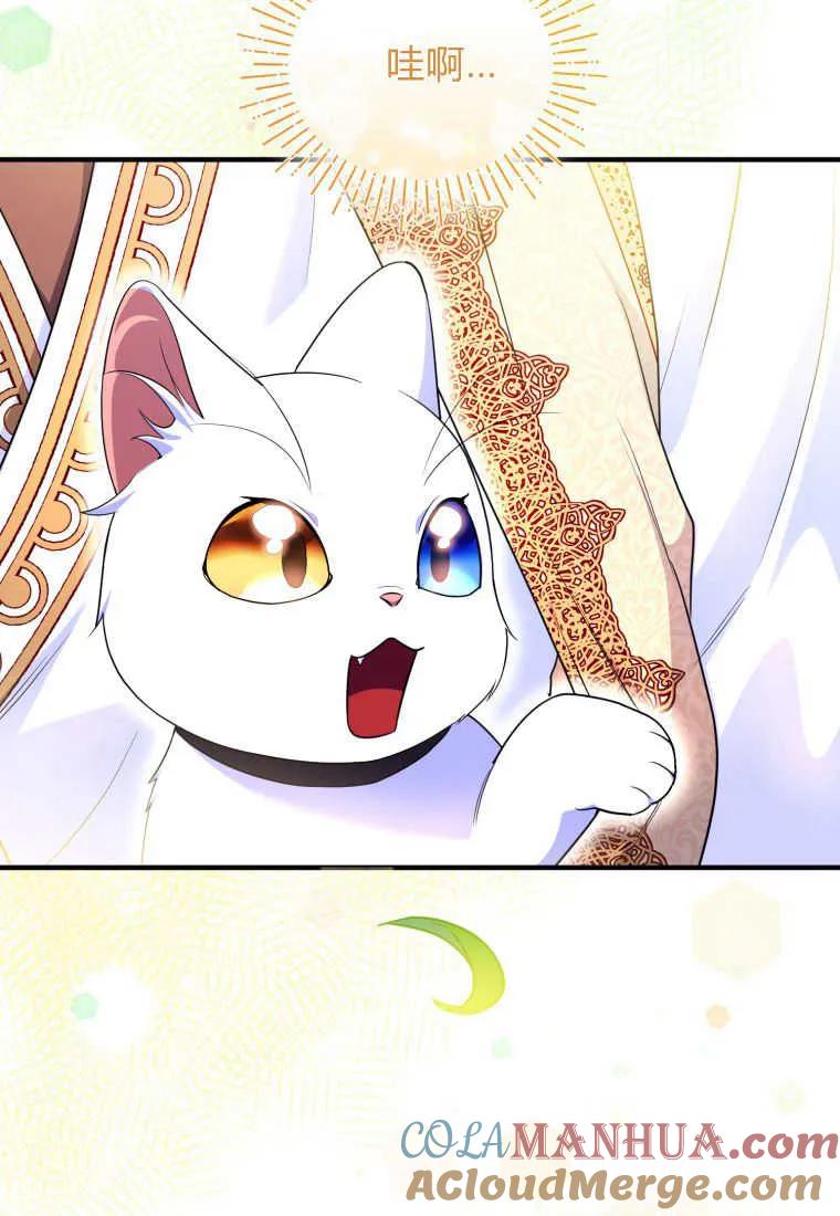 成为苏尔坦珍爱的猫咪 第30话 第44页