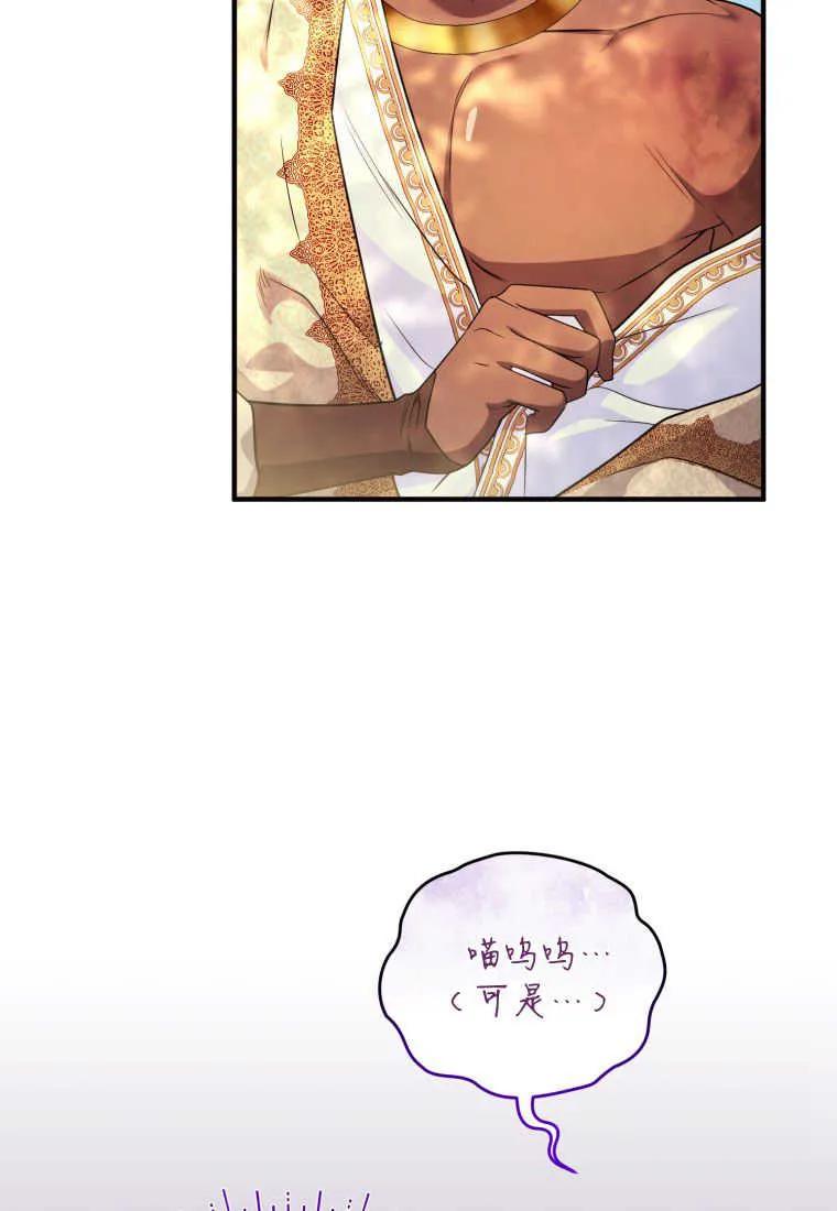 成为苏尔坦珍爱的猫咪 第30话 第62页