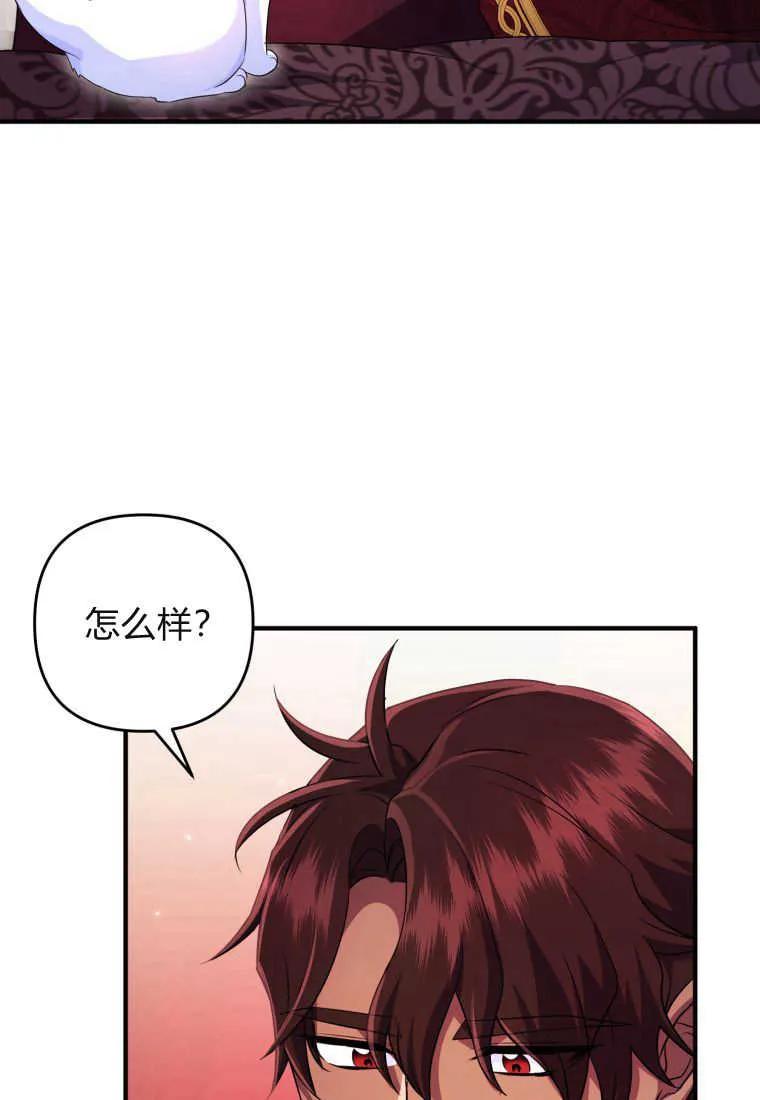 成为苏尔坦珍爱的猫咪 第30话 第31页