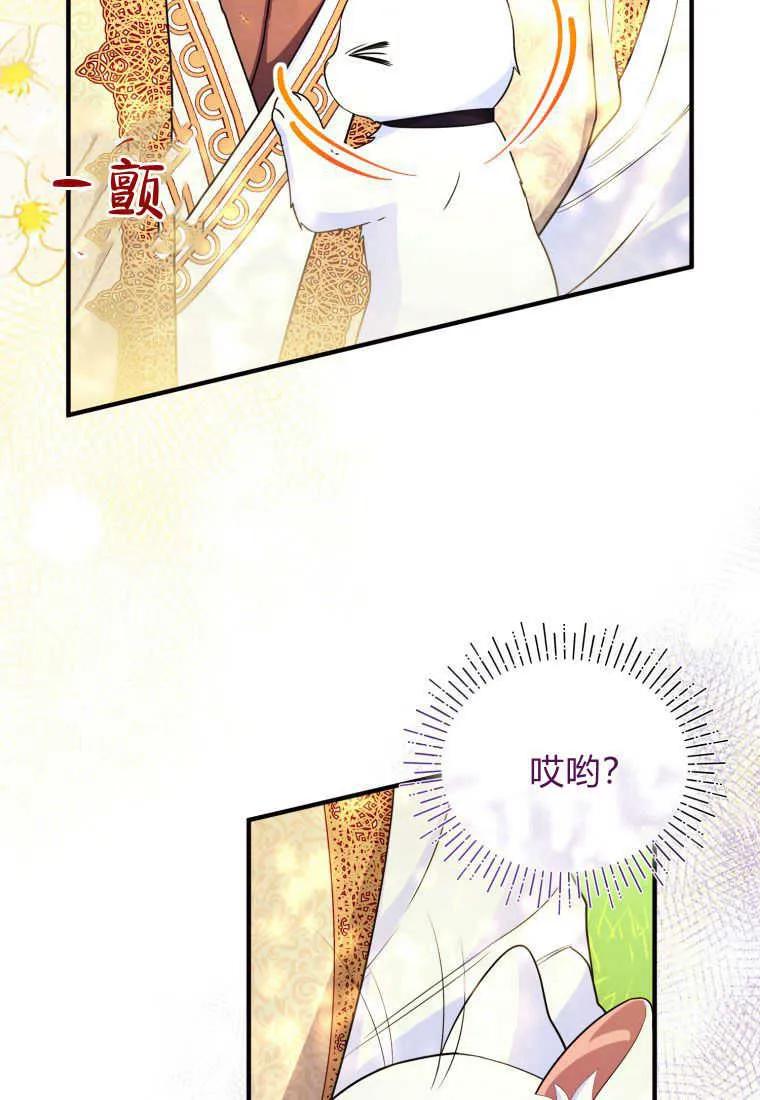 成为苏尔坦珍爱的猫咪 第30话 第49页