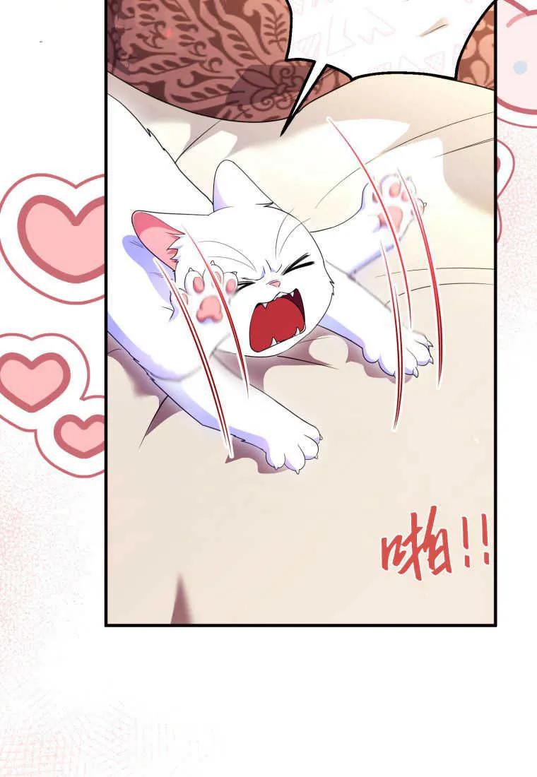 成为苏尔坦珍爱的猫咪 第30话 第7页